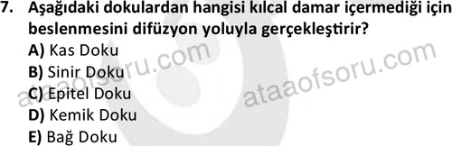 ata laborantvet 1952 7