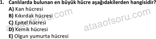 ata laborantvet 1952 1