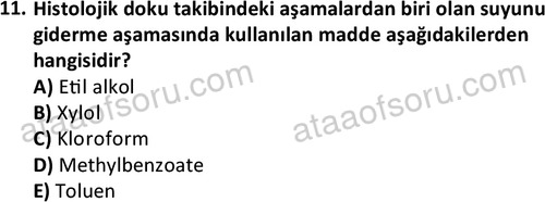 ata laborantvet 1952 11