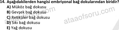 ata laborantvet 1952 14