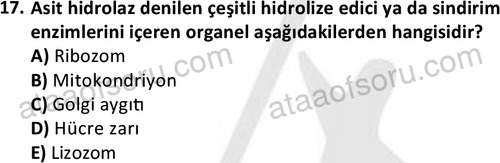 ata laborantvet 1952 17