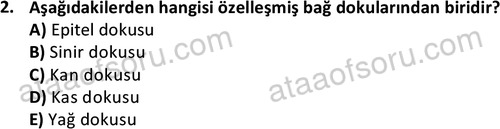 ata laborantvet 1952 2