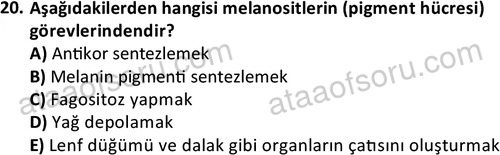ata laborantvet 1952 20