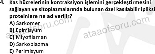 ata laborantvet 1952 4
