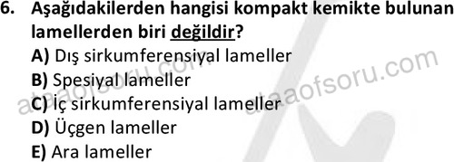 ata laborantvet 1952 6