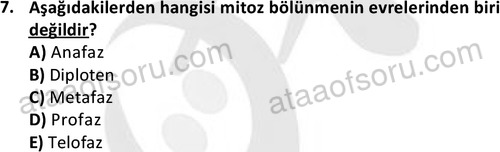 ata laborantvet 1952 7