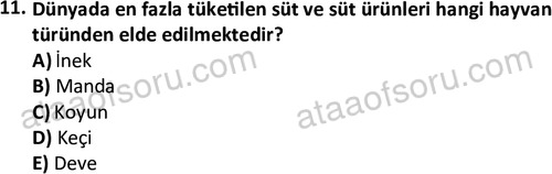 ata laborantvet 1949 11