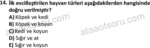 ata laborantvet 1949 14