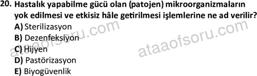 ata laborantvet 1949 20
