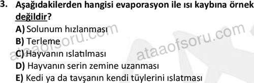 ata laborantvet 1949 3