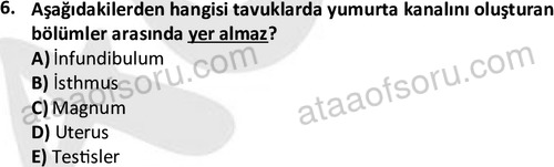 ata laborantvet 1949 6