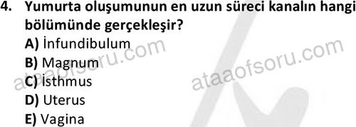 ata laborantvet 1949 4
