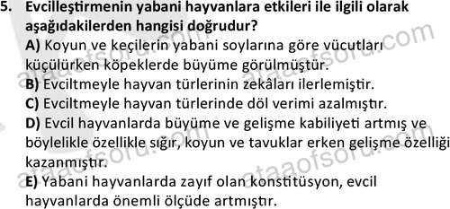 ata laborantvet 1949 5