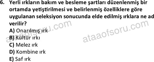 ata laborantvet 1949 6