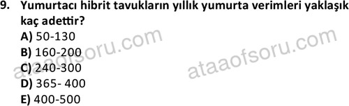 ata laborantvet 1949 9