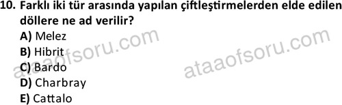 ata laborantvet 1949 10