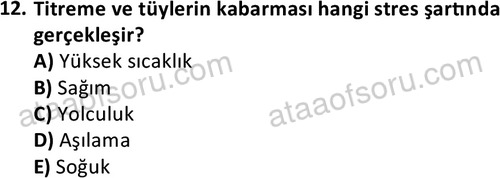ata laborantvet 1949 12
