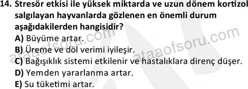 ata laborantvet 1949 14