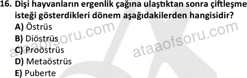 ata laborantvet 1949 16