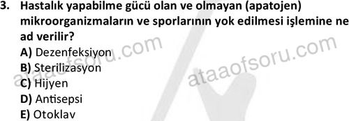 ata laborantvet 1949 3