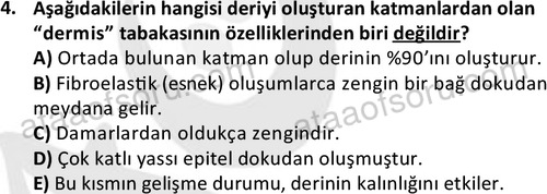ata laborantvet 1949 4