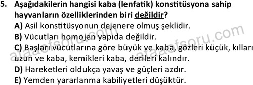 ata laborantvet 1949 5