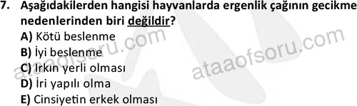 ata laborantvet 1949 7