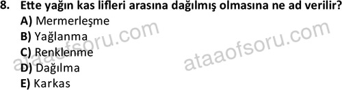 ata laborantvet 1949 8