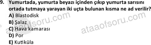 ata laborantvet 1949 9