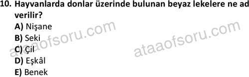 ata laborantvet 1949 10