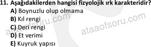 ata laborantvet 1949 11