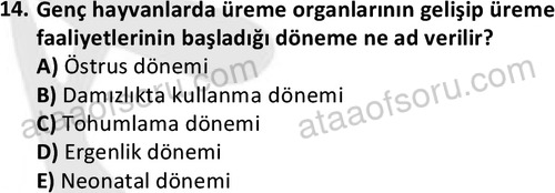 ata laborantvet 1949 14