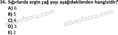 ata laborantvet 1949 16
