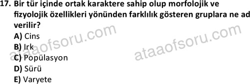 ata laborantvet 1949 17
