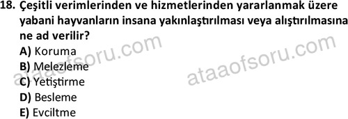 ata laborantvet 1949 18