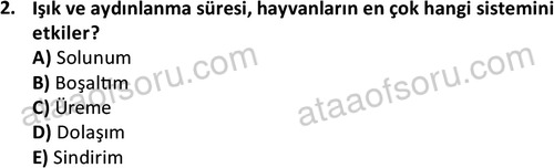 ata laborantvet 1949 2