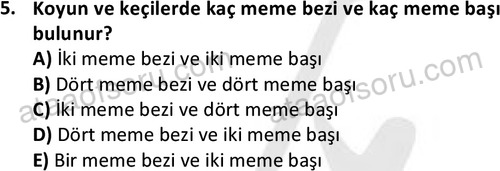 ata laborantvet 1949 5