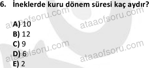 ata laborantvet 1949 6