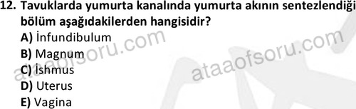 ata laborantvet 1949 12