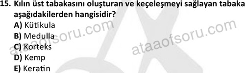 ata laborantvet 1949 15