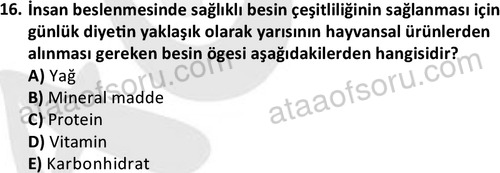 ata laborantvet 1949 16