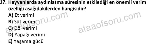 ata laborantvet 1949 17