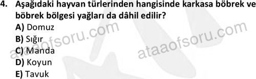 ata laborantvet 1949 4