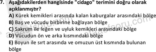 ata laborantvet 1949 7