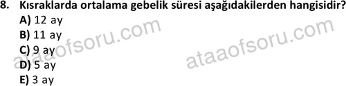 ata laborantvet 1949 8