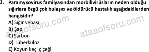 ata laborantvet 1960 1