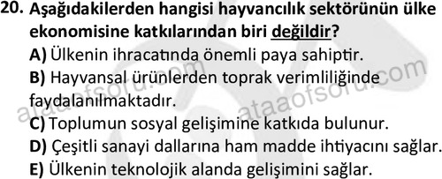 ata laborantvet 1960 20