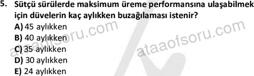 ata laborantvet 1960 5