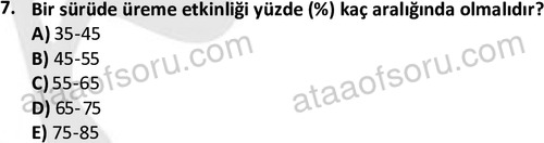 ata laborantvet 1960 7
