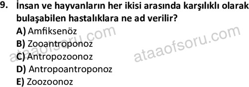 ata laborantvet 1960 9